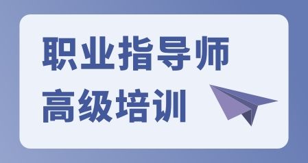 职业指导师（高级）