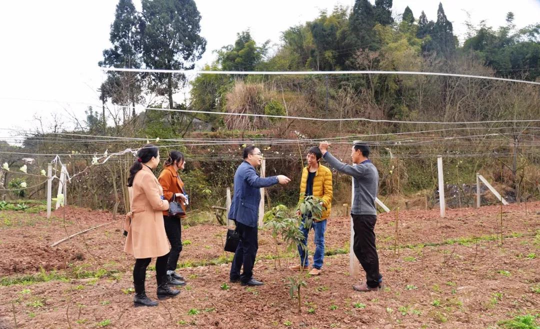 20180726153148_687.jpg 微信图片_20180726152829.jpg