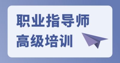 职业指导师（高级）