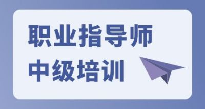 职业指导师（中级）